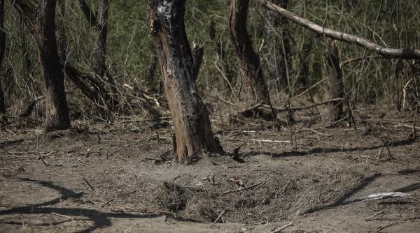 reuters scrie despre noua drona de razboi descoperita pe teritoriul romaniei