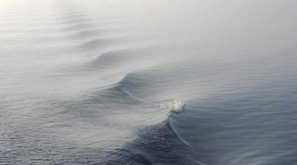 de ce fierbe dunarea explicatiile fenomenului spectaculos