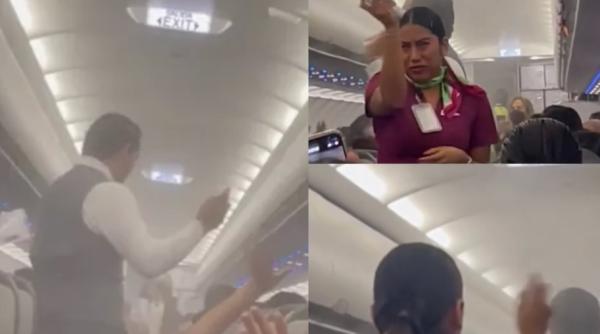 momentul in care tantarii invadeaza un avion au ajuns pana la cabina pilotilor