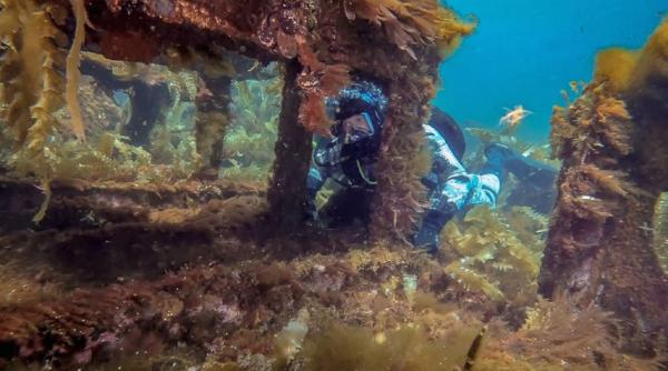 history channel in noiembrie nave fantoma imperii antice inexplicabil cu william shatner si muntenii