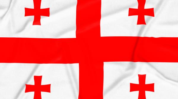 parlamentul georgiei a incercat sa o demita pe presedinta salome zourabisvili