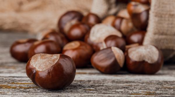 cum sa ti prepari in casa piureul de castane nu vei mai cumpara niciodata din magazin