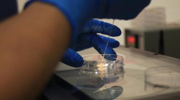 legea privind dispozitivele medicale pentru diagnostic in vitro promulgata de presedintele klaus iohannis