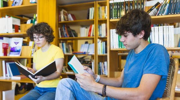 sa facem din institutul limbii romane institutia responsabila pentru promovarea limbii romane radu mihail hai sa ne asumam