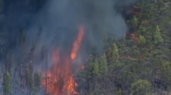 australia este in flacari pompierii sunt epuizati cel putin o persoana a murit video