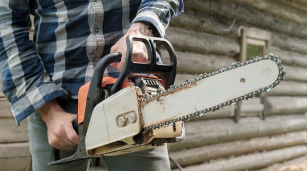 scena revoltatoare ca n filmele cu mafioti un politician aur a intrat cu drujba peste chiriasii de pe proprietatea pe care urma sa o cumpere