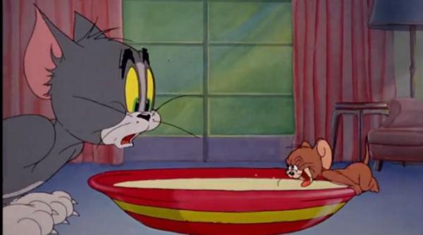 mitul tom si jerry spulberat de ce sa nu i dai pisicii sa manance lapte sau branza