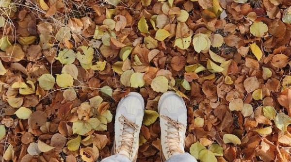 vremea in noiembrie 2023 informatii din anm temperaturi in jur de 20 de grade unde va ploua