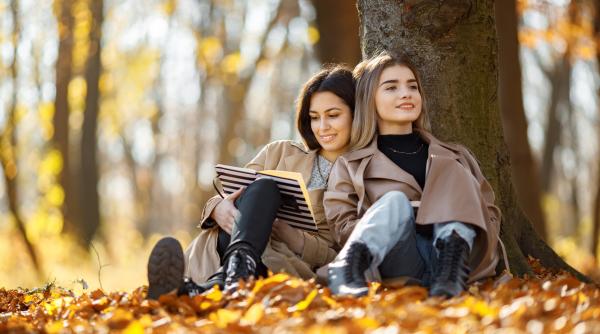 horoscop 2 noiembrie 2023 4 zodii se vor fi obligate sa separe realitatea de vis video