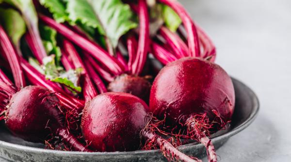 sfecla rosie leguma de sezon cu multe beneficii pentru sanatate bilic o singura avertizare