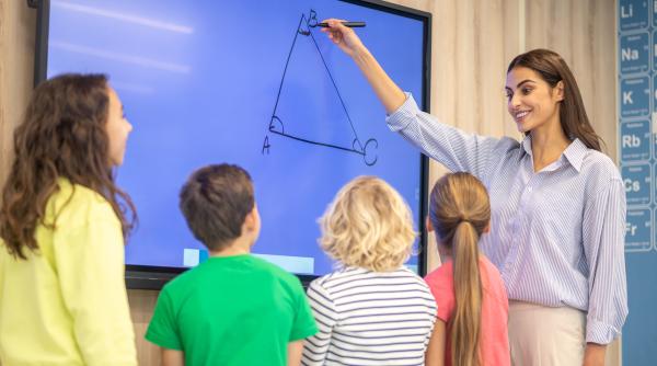 ce impune legea profesorilor care dau meditatii in particular consiliul elevilor ia pozitie fata de noul proiect de ordin