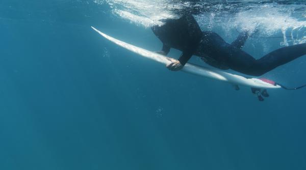 momentul incredibil in care un barbat care facea surf este lovit in plin de o balena credeam ca o sa mor video