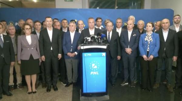 nicolae ciuca declaratii dupa ce si a asumat candidatura la prezidentiale