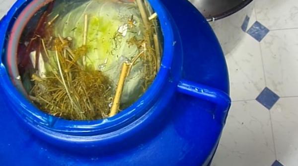 care sunt riscurile la care va expuneti cand suflati in butoiul cu varza carmen dorobat poate sa duca la o serie de manifestari acute