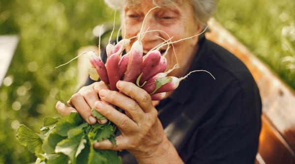 secretul oamenilor de la sat care traiau 100 de ani bulai eram eco si nu stiam