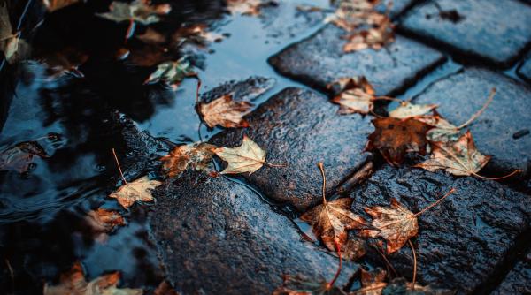 anm temperaturi record pentru ultimele decenii ploile de toamna deocamdata nu exista si nu vor exista