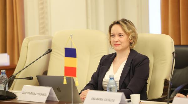 cosette chichirau a comentat cazul lasconi deputata acuza usr de lipsa de pregatire si profesionalism