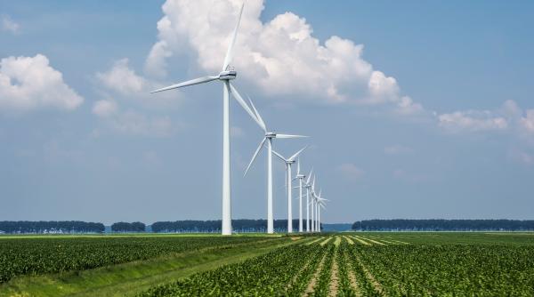 dobrogea are cel mai mare potential eolian din toata europa rectorul puiu lucian georgescu explica