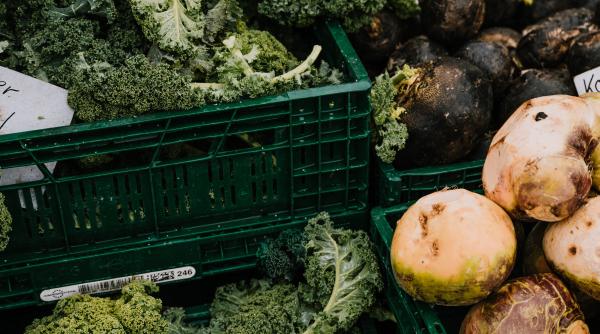 un robot a omorat un barbat pe care l a confundat cu o lada cu legume in coreea de sud