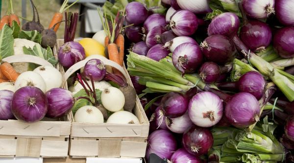 diferentele dintre ceapa alba si cea rosie care este mai buna