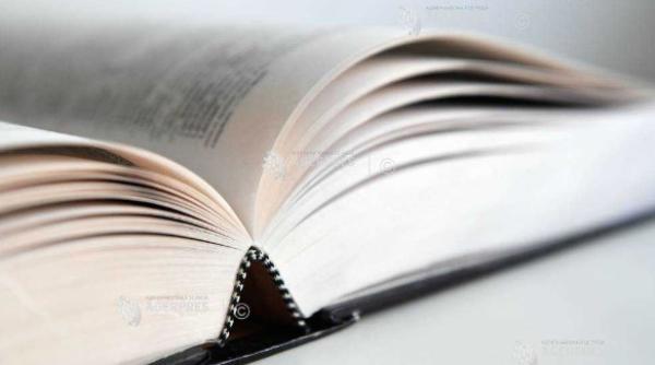 a halucina termenul cel mai folosit in 2023 desemnat de dictionarul cambridge