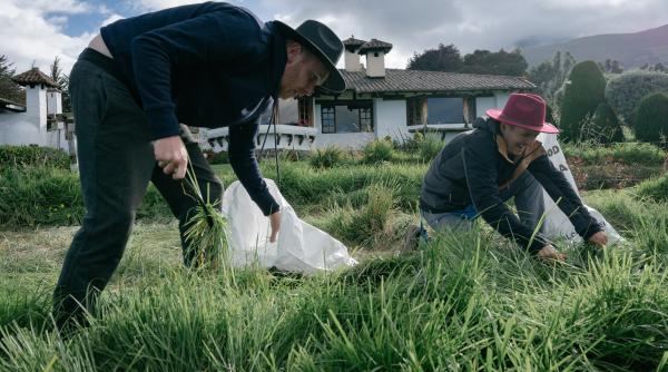 incep strategiile la america express am avut senzatia ca ne am apropiat ne a durut nu ne asteptam la asta