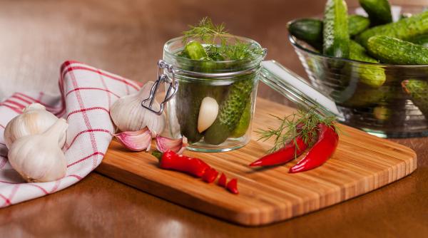 muraturile de orice fel benefice pentru sanatatea intestinului mihaela bilic priviti le ca pe niste alimente vii