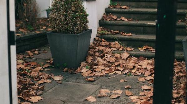 anm prognoza meteo cum va fi vremea in urmatoarele patru saptamani