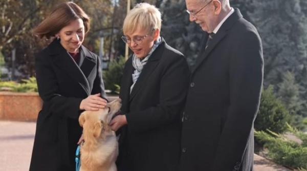 de ce l a muscat de fapt cainele maiei sandu pe presedintele austriei gluma virala cu schengen si codrut foto