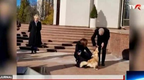 greseala majora facuta de maia sandu la intalnirea cu presedintele austriei alin moldovan dresor de caini asta e combinatia sigura pentru a fi muscat