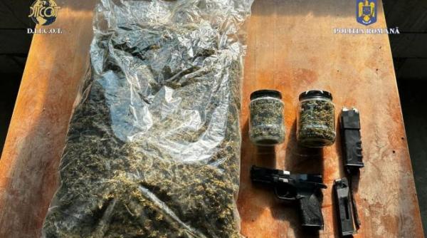 procurorii diicot au pus in aplicare 17 mandate de perchezitie domiciliara pe raza judetelor calarasi si ilfov au fost gasite 5 kilograme de canabis si peste 5 mii de euro
