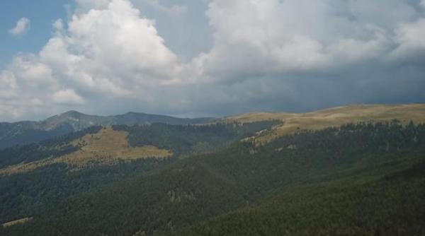 rezervatia de zimbri din maramures accesibila pana la finalul lui 2024