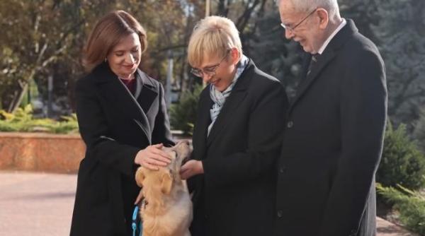 un patruped a taxat austria pentru refuzul de a permite intrarea in schengen a romaniei cezar osiceanu explica de ce cainele maiei sandu l a muscat pe presedintele austriei