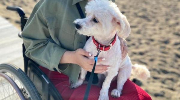 ati vazut azi ceva mai dragut prietenia dintre o fetita si cainele ei te va face sa zambesti video