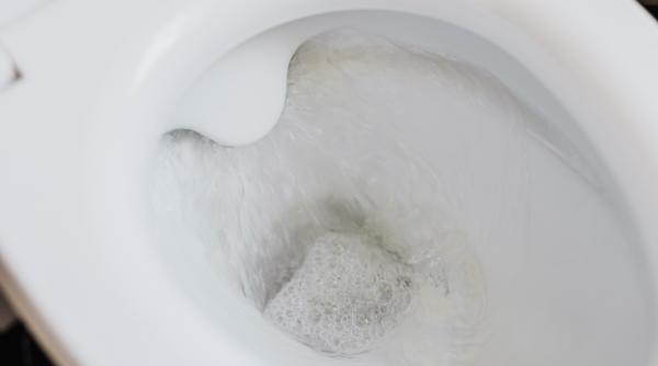 scaunul care te poate scapa de hemoroizi si constipatie