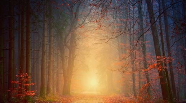 urmeaza una dintre cele mai pline si energice perioade ale anului afla ce aduce sezonul sagetatorului pentru fiecare zodie ascendent