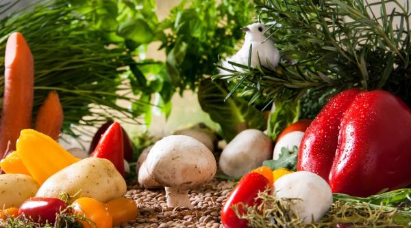 cea mai buna sursa de proteine in post mihaela bilic de consumat fara restrictie de cantitate au doar 10 cal 100g