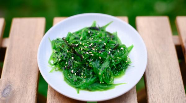 salvati de la foamete fermele de alge marine ar putea hrani toata populatia lumii