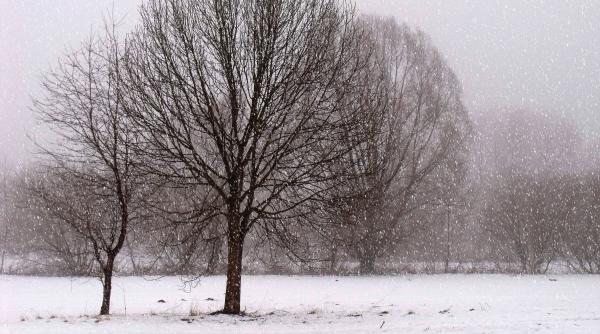 alerta infotrafic 21 de tronsoane de drumuri nationale din sase judete inchise din cauza vremii nefavorabile