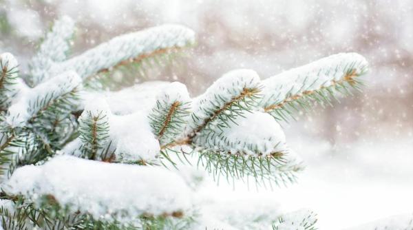 cum va fi vremea de craciun anm prognoza pentru urmatoarele 4 saptamani