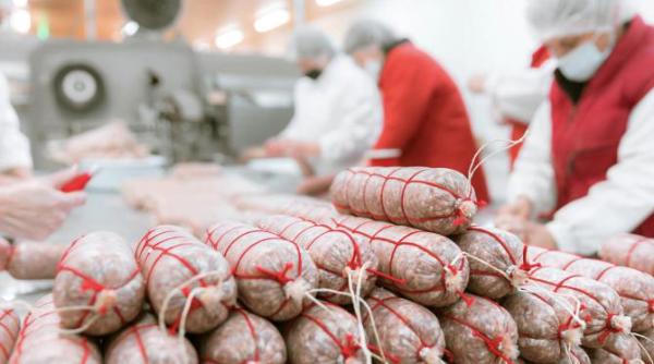 dupa ce a dezvoltat o afacere de zeci de milioane de euro sorin minea recunoaste ca daca ar lua o de la capat ar investi in altceva mi ar fi frica in ce ar baga astazi banii