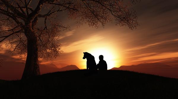 prietenie pana la ultima suflare si dincolo de ea ce s a intamplat cu un caine la 15 minute dupa ce stapanul sau a murit