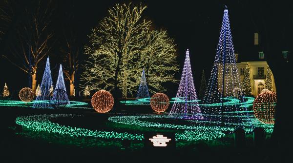 craciun cu tematica de safari la slatina primaria a montat girafe lei si elefanti in jurul bradului foto