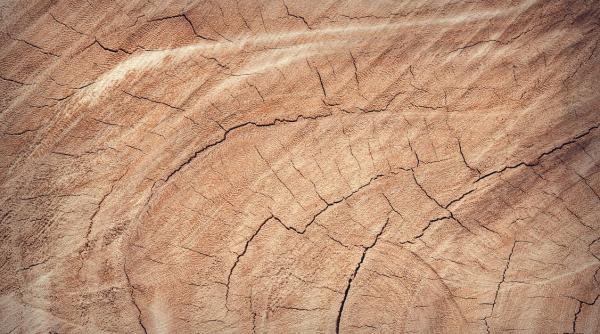 o femeie din suceava a comandat pe internet un telefon mobil dar a primit acasa o bucata de lemn