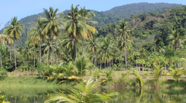 misiunea de aparare a padurii amazoniene a mai pierdut un activist quinto inuma impuscat mortal