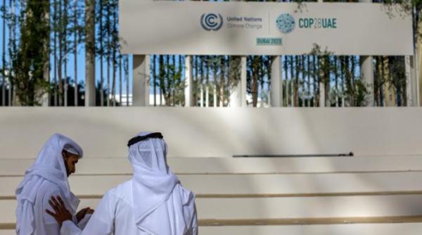 summit cop28 angajament de 777 milioane de dolari pentru combaterea bolilor tropicale finantat de emiratele arabe unite si organizatii caritabile