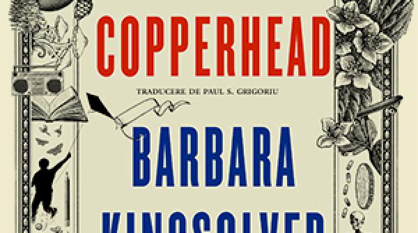 roman castigator al premiului pulitzer 2023 demon copperhead de barbara kingsolver un david copperfield al zilelor noastre