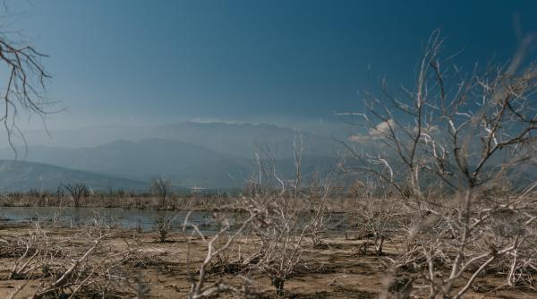 impactul schimbarilor climatice asupra romaniei sefa anm fiecare luna pana in prezent a adus noi recorduri ultimele cinci ierni sunt in top cele mai calduroase