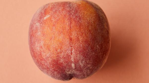 a fost aleasa culoarea anului 2024 peach fuzz simbol al compasiunii si conexiunii umane