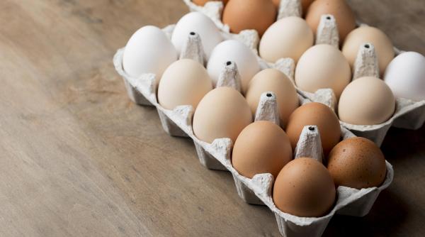 criza de oua in rusia un cofraj costa dublu fata de anul trecut